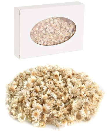 DecorDwell 200 Stück Getrocknete Blumen Köpfe, Trockenblumen Klein Gänseblümchen, Brasilianische Kleine Stern, Natürliche Getrocknete Blumen, für Kartendekoration, Kerze, Scrapbooking, DIY-Harz