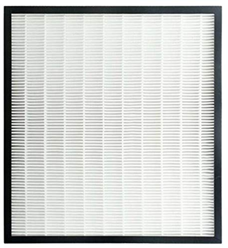 Knadgbft 1 StüCk HEPA-Filter für Sharp FZ-F30HFE Luftreiniger ZubehöR Langlebig 310X280Mm