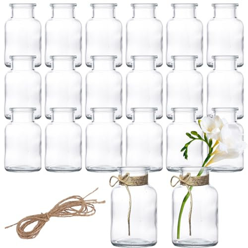 WOPPLXY 20 PCS Small Vases, Glass Small Bud Vases for Table Decoration, Mini Glass Bottle Vase for Flower, Wedding, Party