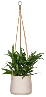 Finestgreen Hängendes Pflanzgefäß Patt Grau | Hängender Blumentopf zum bepflanzen | Urban Gardening Pflanzenampel | Pottery Pots