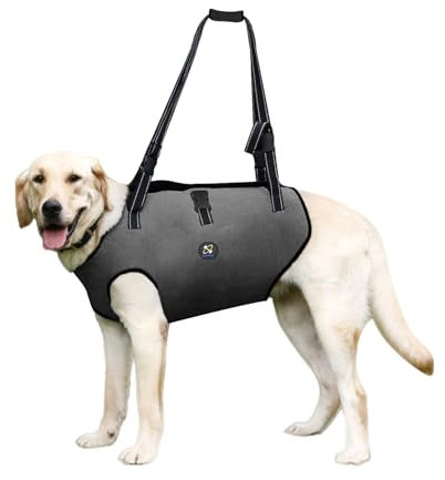Coodeo Hundeliftgeschirr, Haustierunterstützung & Rehabilitation Sling Lift Verstellbare Gepolsterte atmungsaktive Gurte für Alt, Gelenkverletzungen, Arthritis, Stabilitätsverlust Hunde(Schwarz, XL)