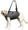 Coodeo Hundeliftgeschirr, Haustierunterstützung & Rehabilitation Sling Lift Verstellbare Gepolsterte atmungsaktive Gurte für Alt, Gelenkverletzungen, Arthritis, Stabilitätsverlust Hunde(Schwarz, XL)