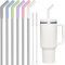 Tomorotec 6Pcs Strohhalme Edelstahl mit Silikonspitzen, Passend für Stanley 40 oz Stanley Tumbler, 30 cm strohhalme wiederverwendbar mit bunten Verlängerungen und 2 Bürsten Mehrfarbig