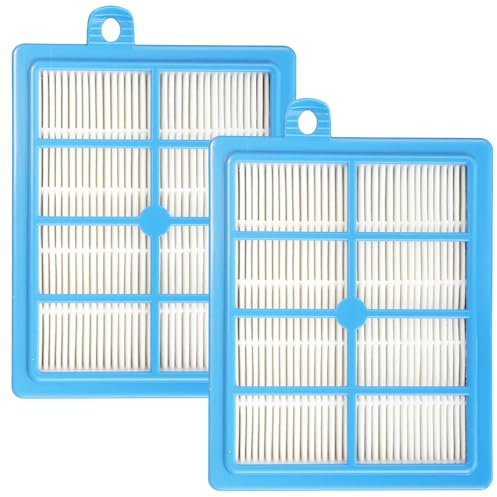 LRFDRESS FC8038/01 Vakuumersatz H13 HEPA-Filter kompatibel mit Philips FC9150 FC8038/01 S-Filter Staubsauger, AEG, Performer LX8 Electrolux, Tornado, Volnado, Volta- 2er Pack