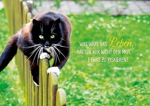 Gutsch Verlag Tier-Postkarte mit inspirierendem Zitat: Was wäre das Leben, hätten wir nicht den Mut, etwas zu riskieren? – Motiv: Kletternde Katze – Van Gogh Zitat – Perfekt für Tierliebhaber