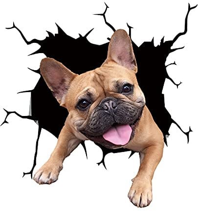 Süß 3D Hund Wandaufkleber Kinderzimmer Schlafzimmer Wandtattoo WC Deckel Wasserfest Aufkleber Badezimmer Wandsticker Auto Aufkleber Anime lustige Dekoration (C)