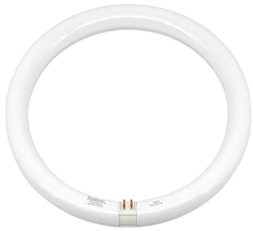 Fbright Led Tubo Led Circular diámetro 300 mm G10Q 16,5 W 6500K conexión directa a red