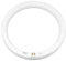 Fbright Led Tubo Led Circolare Diametro 300mm G10Q 16,5W 6500K Connessione diretta alla rete