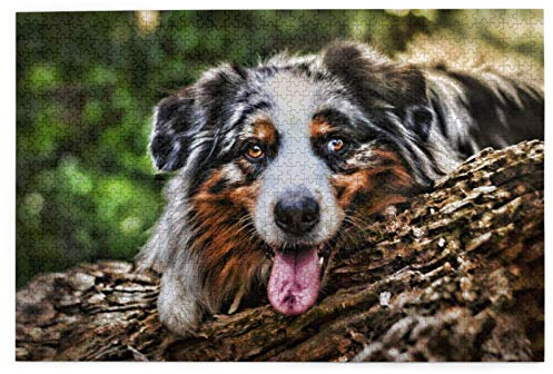 Puzzles 1000 Stück Australischer Schäferhund Sommer HDR Bokeh Forest Holz Puzzle Spielzeug Familienspiel Wanddekoration für Erwachsene Teenager