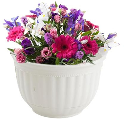 AIYING Vasi per Piante da Parete - Fioriera da Parete a semicerchio | Fioriere da Appendere per vasi da Fiori per Piante da Esterno per Interni Esterni