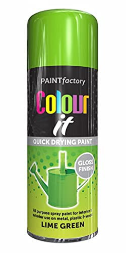 AlezyB - Lime Green 400ml All Purpose Spray Paint | Use on Metal, Wood, Plastic and Multipurpose Aerosol Professional Quality Perfect Finish, for Interior Exterior and Excellent Coverage