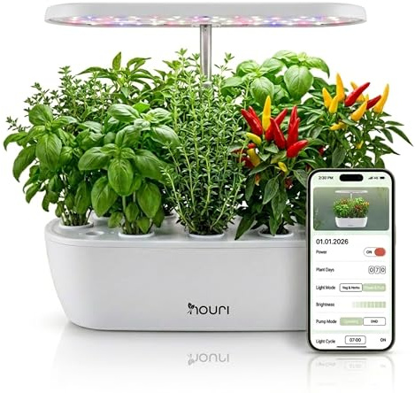 Nouri Hydroponisches Anzuchtsystem, 12 Hülsen Smart Indoor Kräutergarten Set mit App & LED-Wachstumslicht, Hydroponischer Kräutergarten für Zuhause & Küche, Basilikum-Samen inklusive