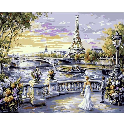 NEWENMO Tour Eiffel Peinture par Numéro Kits,Belle Vue sur Paris Peinture Numero Adulte,DIY Paint by Numbers,Creation Adulte pour Débutants,Peinture à l'huile Kit,pour Décoration Maison,40x50cm
