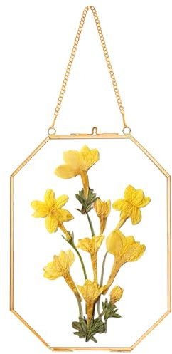 REDHUGO Cadres pour fleurs pressées, cadres flottants en verre pour présenter des spécimens de plantes séchées et des photos, cadre photo en laiton avec chaîne suspendue, double verre clair, octogonal