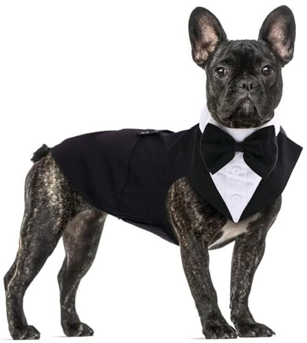 Formeller Smokinganzug für mittelgroße und große Hunde, Smoking-Kostüm, Hochzeitsparty-Outfit mit abnehmbarem Kragen, Elegante Hundebekleidung mit Fliege und Halstuch, Set für Cosplay, Urlaub