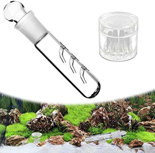 2 Stück Planarienfalle, 3 Loch Klarglas Glas Planaria Trap 8 Löcher Acryl Falle für Fisch Tank Aquarium Wurm Catcher Trap für Fangen von Planarien, Schnecken, Blutegeln im Aquarium