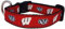 College Hundehalsband (klein, Wisconsin)