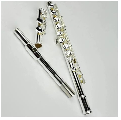 Kupfernickel-versilberter Körper, E-Mechanismus, 16 Löcher, Geschlossenes Loch, C-Klappenflöte Mit Etui Querflöte für Anfänger