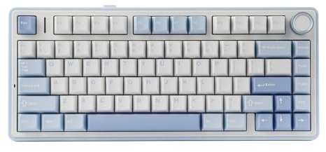 EPOMAKER x Aula F75 Gasket Mechanische Tastatur, 75% Hot swap-fühige Gaming-Tastatur mit Fünf-Schicht-Polsterung&Knopf, Bluetooth/Wireless/USB-C, RGB (Sea Salt Blue, Graywood V3 Switch)