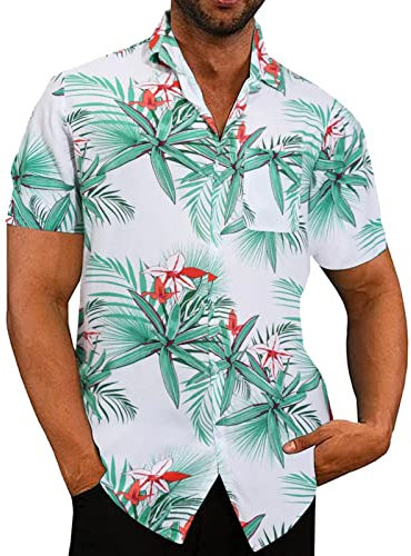 Karierte Hemden Herren Baumwolle arbeitstshirts Herren 10er Pack Casual Shirt schwarz Herren weiße Hemden Herren lang Schwarze Hemden Herren Slim fit Hemden Herren schwarz Sommer