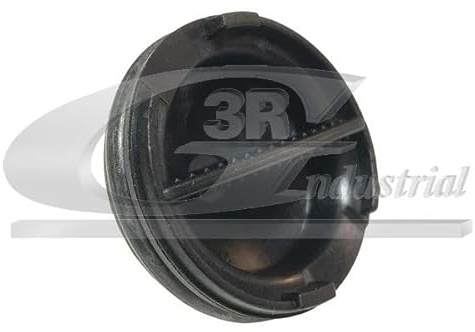 3RG INDUSTRIAL - Tapon Vaciado Carter- OEM 9801444780 1616854180 1871598 DS7Q6730AA - Piezas para Coche Recambios Motor y Otras Partes de Vehículo.