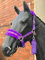 EQUIPRIDE Halfter und Leine, Straßenset, Kunstfell, Einhorn-Druck, Größe Fulland, Violett (Pony)