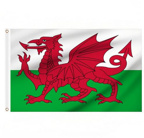 Wales-Flagge, 150 x 90 cm, große walisische Flaggen mit Messingösen, für Fußball-Sportveranstaltungen, St. David's Day, Party-Dekorationen