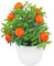 Stakee Künstliche Orangenbaum Bonsai Gefälschte Obst Gefälschte Schreibtisch Pflanze Topfkünstliche Pflanze Für Desktop -Dekoration Topf Topf