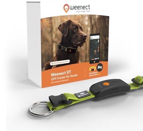 Weenect Hund XT - NEUES GPS-Halsband für Hunde | XL-Antenne | Wasserdicht | Hyperresistentes integriertes Julius-K9 Halsband Gelb Abonnement erforderlich
