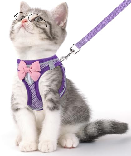 NCMAMA Katzengeschirr und Leine, Set zum Spazierengehen, ausbruchsicher, verstellbares Kätzchengeschirr, atmungsaktives Netzgewebe mit reflektierenden Streifen, Geschirr für Kätzchen, Welpen, Häschen