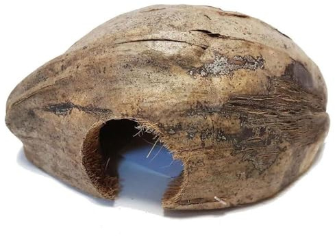 Reptiles Planet Coco Casa – Natürliches Versteck aus Kokosnuss für kleine Tiere