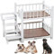 Generic Litera para mascotas para perros y gatos pequeños, medianos y grandes, 2 niveles con escaleras, fácil de limpiar y montar