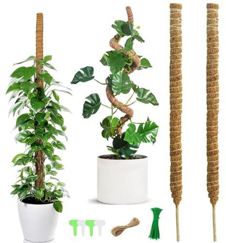 HTRTRR 120 cm Tuteur Plante Grimpante Pliables, 2 Pièces Tuteur Coco, Plantes Poteaux en Mousse Sphaigne avec Serre Câbles, Etiquettes et Ficelle de Jute pour Maison Jardin de Support de Plante