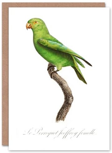 Artery8 Francois Levaillant Art Card The Red Cheeked Parakeet