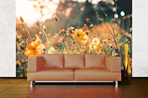 Papier peint photo en intissé Motif fleurs d'orange le matin - 375 x 250 cm (avec colle) - Papier peint non tissé - Papier peint mural - Pour salon, chambre, bureau, cuisine - Prêt à être monté