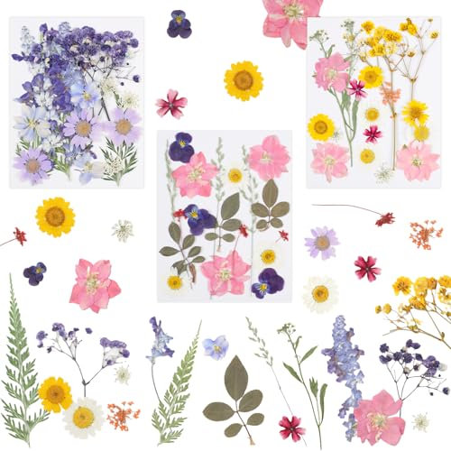 Gepresste Blumen, 54 Stück Natürliche Getrocknete Blumen, Trockenblumen zum Basteln DIY Getrocknete Blüten für Kunst Basteln, Seife, Harz, Schmuck, Kerzen, Nagelkunst Scrapbooking