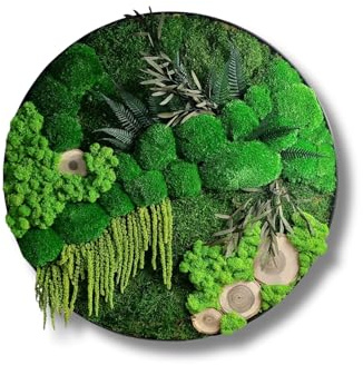 HelloMoss Moosbilder mit Rahmen 50cm - Moosbild XXL mit Island Moos Konserviert - Luxus Deko für Ihr Zuhause - Mooswand Deko Wohnzimmer Groß