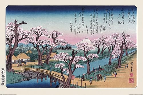 Maxi poster Hiroshige Mount Fuji Koganei Bridge – plastifié
