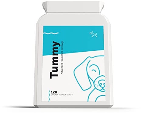 Tummy - Advanced Probiotic & Prebiotic for Dogs with Sensitive Stomachs, Gas, Itchy Skin | Digestive Enzymes to Better Digestive & Immune Health | 120 Tablets | 2 Billion CFUs | UK Made | Dog's Lounge