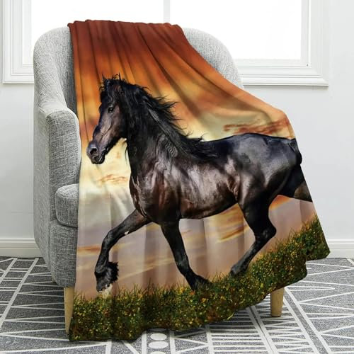 Kuscheldecke Sonnenuntergang Pferd Kinderdecke Kuschelig Weich und Angenehm Pflegeleichte Warm Kuscheldecke 100 x 140 cm für Geburtstag, Ostern, Weihnachten