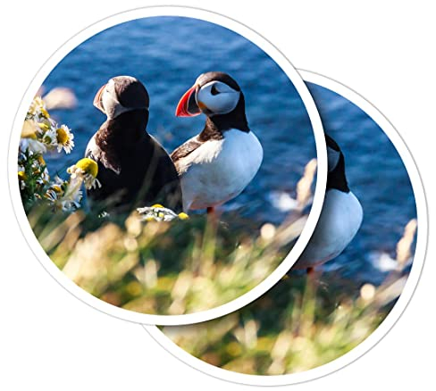 Vinyl-Aufkleber, rund, 10 cm, Vogelpaar, Island, für Laptops, Tablets, Gepäck, Scrapbooking, Kühlschränke #51222