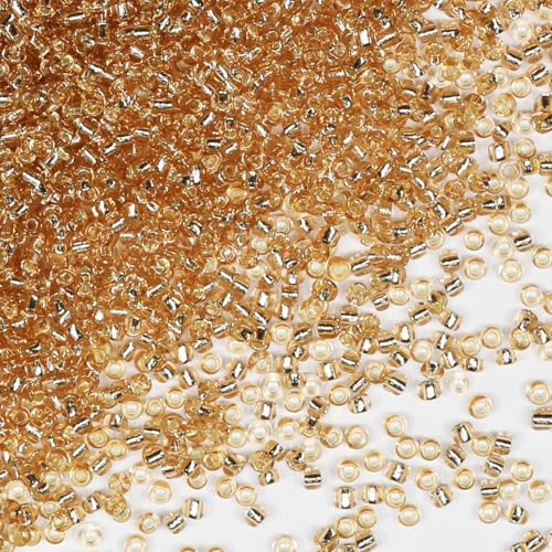 Bulk Seed Beads 110 Grams About 9800pcs, 2mm 12/0 Champagne Glass Craft Beads for Making Earrings, Bracelets, Pendants, Waist Jewelry,DIY Handmade Seed Beads(Champagne Silver Core)