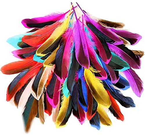 50 Stück Federn zum Basteln - Bunte Federn, Federn Basteln, Indianer Kopfschmuck Kinder, Feder Deko für DIY Ohrring, Hochzeit, Traumfänger, Kopfschmucksfedern, Federball, Schulhandwerk(Mehrfarbig)