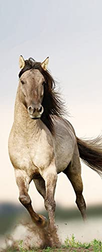 A.Monamour Sticker Porte Autocollant Poster De Porte 3D Cheval Sauvage Courant Au Coucher du Soleil Vinyle Affiche De Porte Sticker Mural Papier Peint Art Décor 85 x 200 cm