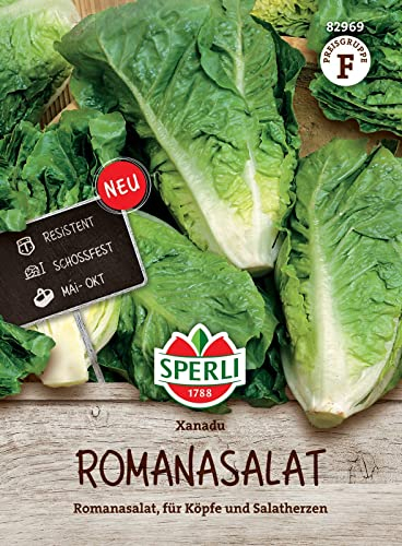 Sperli Romanasalatsamen Xanadu 82969 - Das perfekte Saatgut für gut gefüllte, knackige Salatherzen. Der Romanasalat Xanadu zeichnet sich durch die schoßfesten Salatköpfe aus.