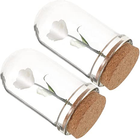 GRIRIW 2pcs Mini Glass Dome Cloche Miniature Flower for Home Decoration Unique Design for Tiny House Centerpiece