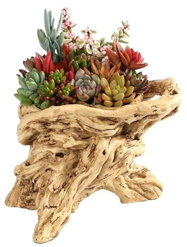 YANMILIA Treibholz Pflanzer Harz Sukkulente Pflanzanlage Vintage Behälter Topf dekorativer Blumentopf für Zuhause und Garten Keine Pflanzen Nicht Holz (Stil J)