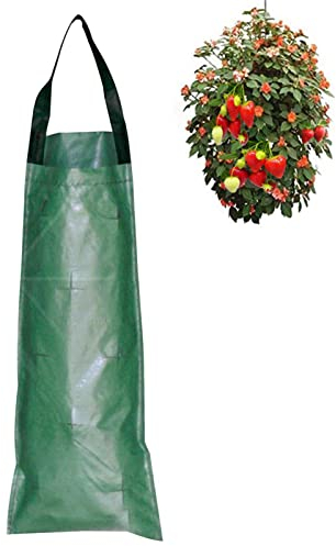 Pomrone Erdbeere Pflanzsack, Pflanzbeutel Hängend Multi Port PE Pflanzen Tasche Pflanzbeutel Atmungsaktive Stoff-Blumentöpfe Mit Griffen Wachsende Tasche Zum Aufhängen An Der Wand
