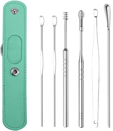 Taicols Spiral Design set d'outils de nettoyage de cérumen en acier inoxydable, kit de nettoyage de cérumen portable avec étui en cuir pu (vert)