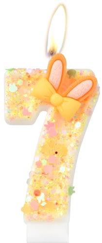 mciskin Rabbit 7th Birthday Candles,Orange Number 7 Candle for Cake,Girls Boys 7th Birthday Decorations,Bunny Candle Rabbit Cake Toppers for Bunny Themed Party Decorations,Easter Party Supplies